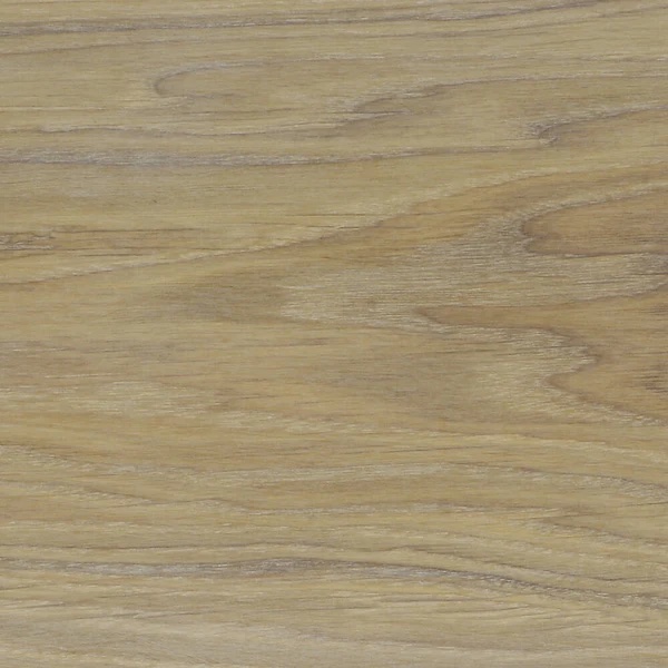 [900030000021] Encino Americano (Natural)